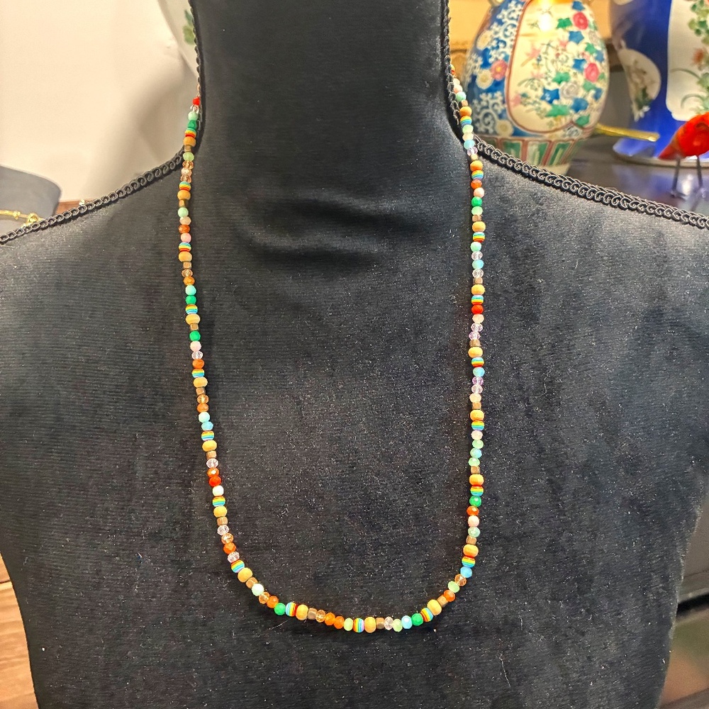 Multicolored Simplicity Beaded Necklace